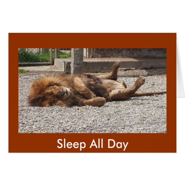 不精なライオン (正面横)