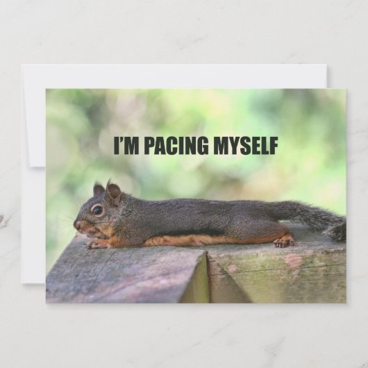 不精なリスの写真 招待状 (正面)