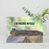 不精なリスの写真 招待状 (スタンド正面)