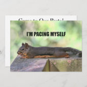 不精なリスの写真 招待状 (正面/裏面)