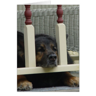 不精な午後の居眠り