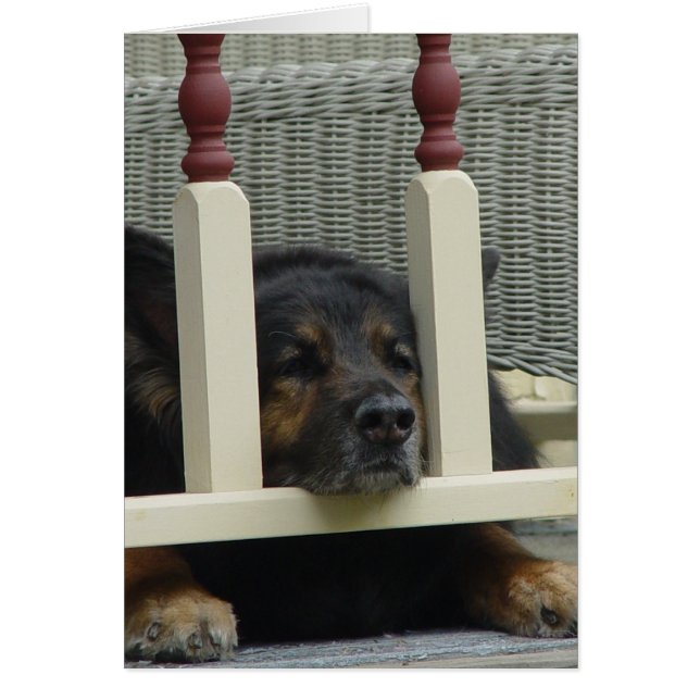 不精な午後の居眠り (正面)