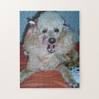 不精な日 ジグソーパズル