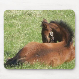 不精な日 マウスパッド