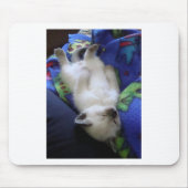 不精な猫 マウスパッド (正面)