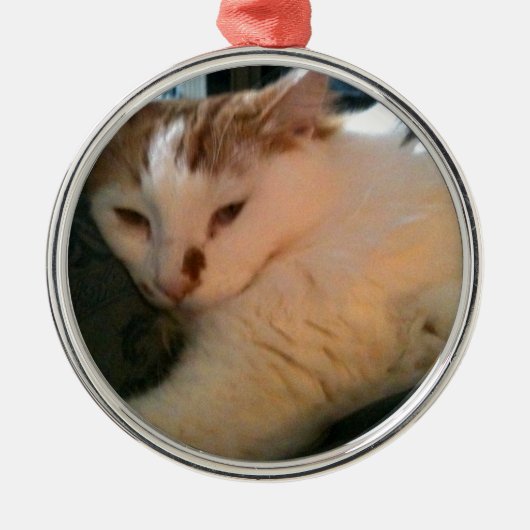 不精な、リラックスした猫 メタルオーナメント (正面)