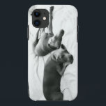 不精なWeimaraners iPhone 11 ケース<br><div class="desc">Weimを愛したことがあったら、必要としません説明を…</div>