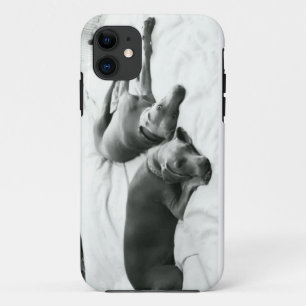 不精なWeimaraners iPhone 11 ケース