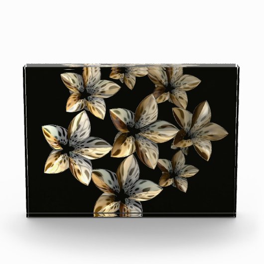 不自然な美しい フォトブロック (正面)