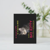 不良子猫はがき ポストカード (スタンド正面)