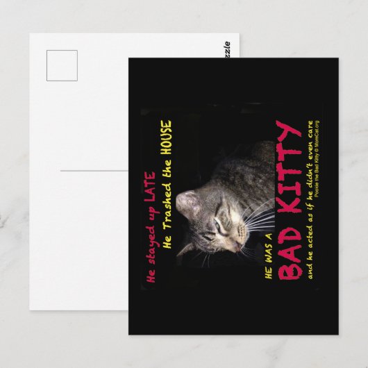 不良子猫はがき ポストカード (正面/裏面)