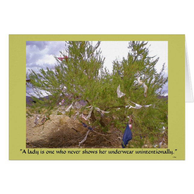 不要な下着 (正面横)