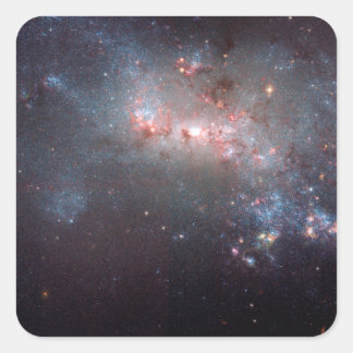 不規則銀河系NGC 4449 Caldwell 21 スクエアシール