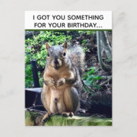 不適切な誕生日プレゼント - 面白いリスの「DEEZ NUTS」ユーモア