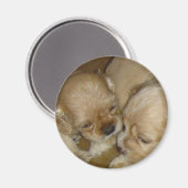 与えキス マグネット (正面/裏面)