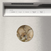 与えキス マグネット (インサイチュ (食洗機))