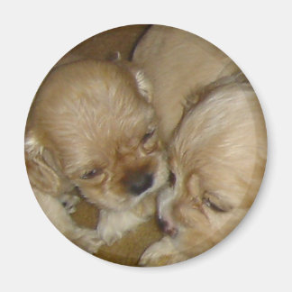 与えキス マグネット