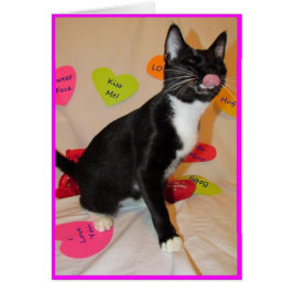 与え大きなキス- Cat Valentine's Day Card
