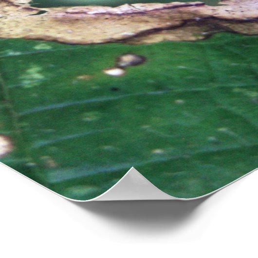 与え安 ポスター (角)