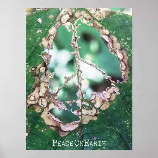 与え安 ポスター (正面)