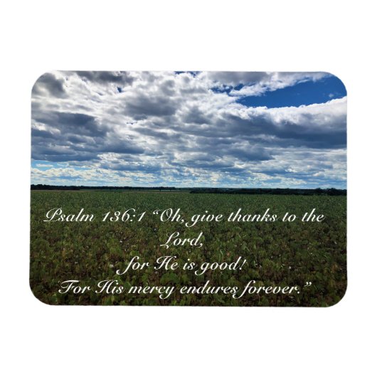 与え感動的感謝してい綿の畑 マグネット (横)