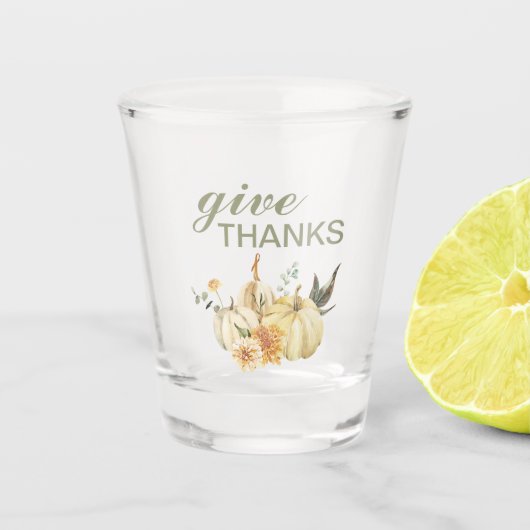 与え感謝してい水彩南瓜 ショットグラス (正面)