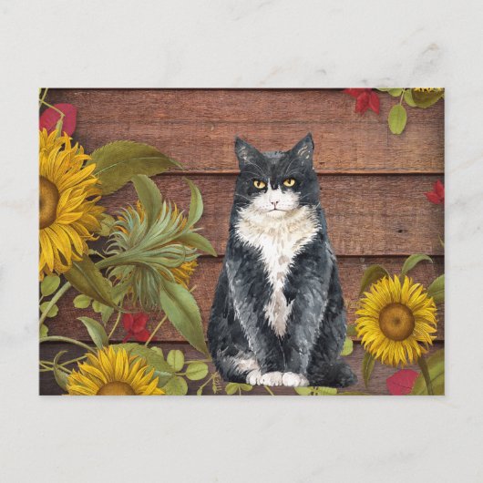 与え感謝してい猫とひまわりの秋の感謝祭 シーズンポストカード (正面)