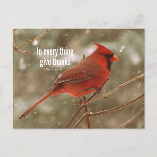 与え感謝してい聖句 ポストカード (正面)