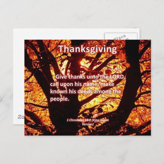 与え感謝してい16:8 ポストカード (正面/裏面)