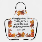 与え感謝してい エプロン (正面)