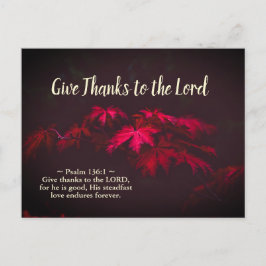 与え感謝してい Inspiration Bible Verse ポストカード