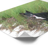 与田 ポスター (角)