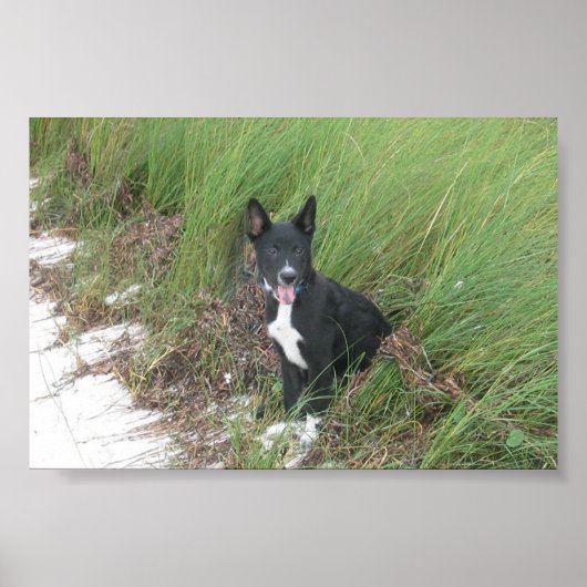 与田 ポスター (正面)