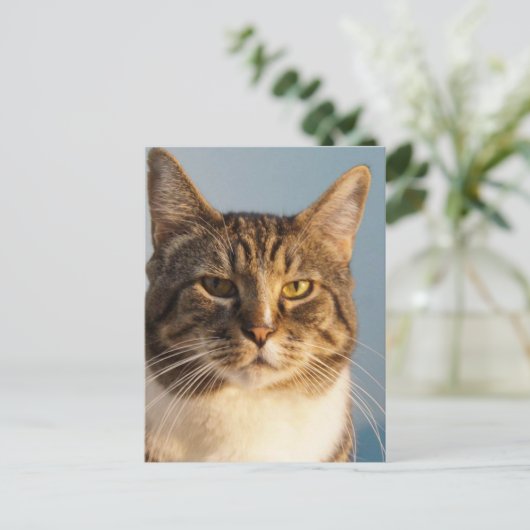 与田 ポストカード (スタンド正面)