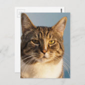 与田 ポストカード (正面/裏面)