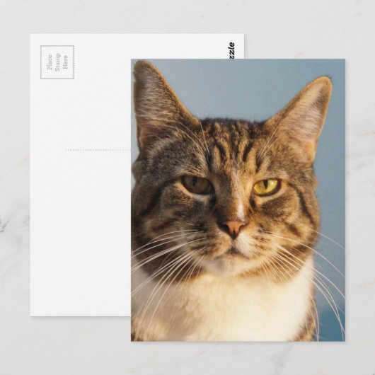 与田 ポストカード (正面/裏面)