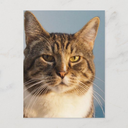 与田 ポストカード (正面)