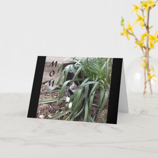 世の中の真実から隠しないこと カード (黄色い花)