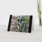 世の中の真実から隠しないこと カード (正面)