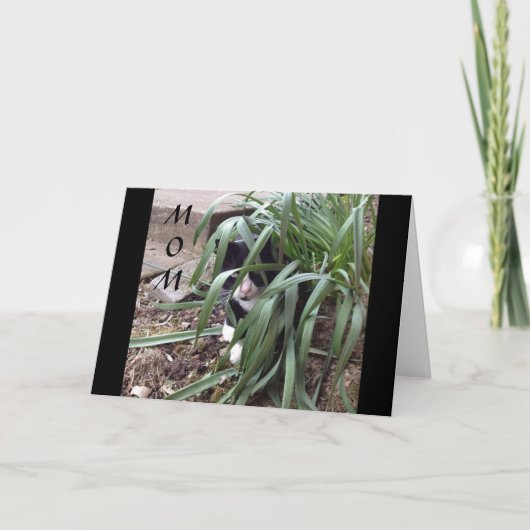 世の中の真実から隠しないこと カード (正面)