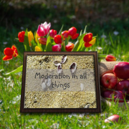 世の中の節度ウィズダムことわざポスター ポスター