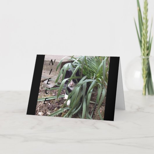 世の中の「姪」の真実最高のから隠れないこと カード (正面)