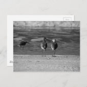 世の最高の中は自由だ ポストカード (正面/裏面)