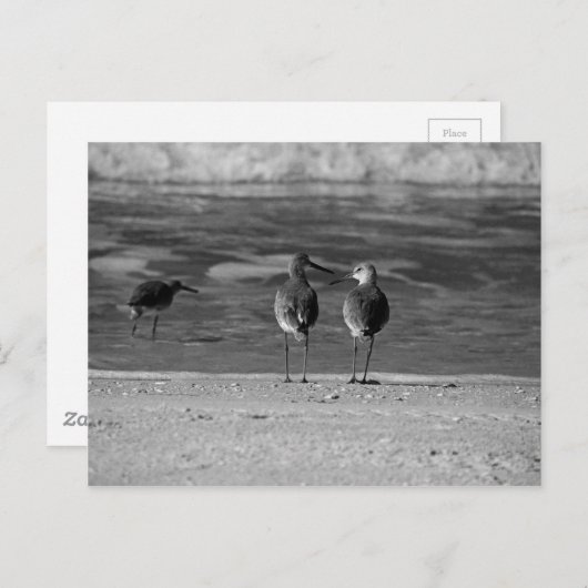 世の最高の中は自由だ ポストカード (正面/裏面)