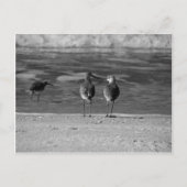 世の最高の中は自由だ ポストカード (正面)