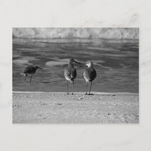 世の最高の中は自由だ ポストカード (正面)