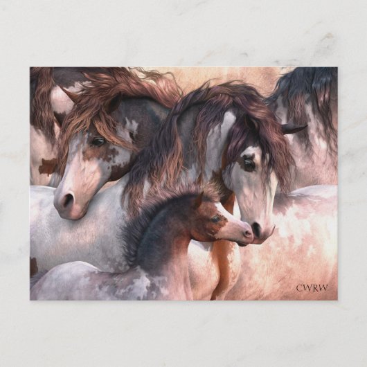 世代はがき ポストカード (正面)