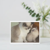 世代 ポストカード (スタンド正面)