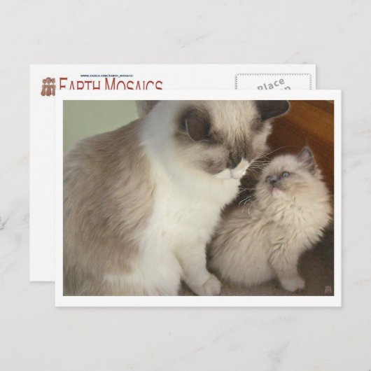 世代 ポストカード (正面/裏面)