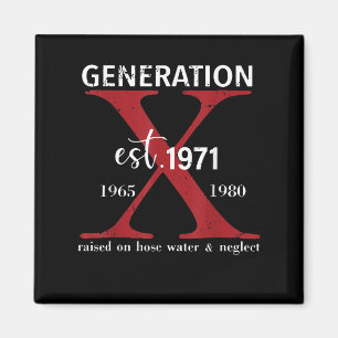 世代Xテスト1971年ホース水とNe上で上昇 マグネット